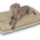 Memory Foam Dog Bed Sage Large