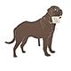 Haute Steel Garden Stake Mastiff