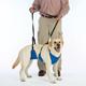 Lift & Lead Dog Harness Large