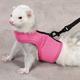 Biddie Buddies Ferret Harness & Lead Pink Medium