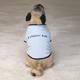 Casual Canine XSmall Humor Dog Tee-Shirt I Chase Tail