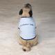 Casual Canine Large Humor Dog Tee-Shirt I Chase Tail