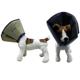 Comfy Cone Soft E-Collar Large Tan 25 cm