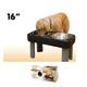 Big Dog Elevated Feeder 16-inch Height Black