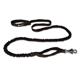 RuffWear Roamer Dog Leash Large