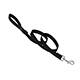 Lupine Nylon Dog Leash 6-foot x 3/4-inch Black