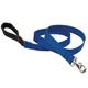 Lupine Nylon Dog Leash 6-foot x 1-inch BLue