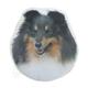 Double Sided Dog Decal Shetland Tri-color