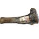 Beef Tibia Bone - Pasteurized Dog Chew Treat