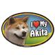 Dog Breed Image Magnet Oval Akita