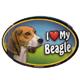 Dog Breed Image Magnet Oval Beagle