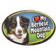 Dog Breed Image Magnet Oval Bernese Mountain Dog