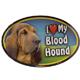 Dog Breed Image Magnet Oval Blood Hound