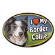 Dog Breed Image Magnet Oval Border Collie