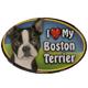 Dog Breed Image Magnet Oval Boston Terrier