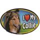 Dog Breed Image Magnet Oval Collie