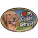 Dog Breed Image Magnet Oval Golden Retriever