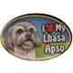 Dog Breed Image Magnet Oval Lhasa Apso