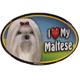 Dog Breed Image Magnet Oval Maltese