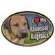 Dog Breed Image Magnet Oval Rhodesian Ridgeback