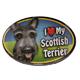 Dog Breed Image Magnet Oval Scottish Terrier