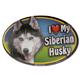 Dog Breed Image Magnet Oval Siberian Husky