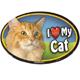Cat Image Magnet Oval Orange Cat