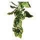Exo Terra Amapallo Terrarium Plant Medium
