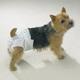 Doggy Diapers Med 10 Pack