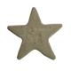 Bright Bites Cinnamon Large Single Dog Dental Treat