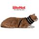 BiteNot Cat Collar Large Cone Alternative