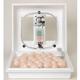 Little Giant Forced Air Incubator 