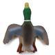 Latex Mallard Duck Dog Toy