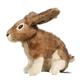 Hyper Product Rabbit Soft Dog Toy  
