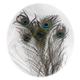 Natural Peacock Feather Cat Toy
