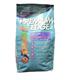 Premium Edge Skin & Coat Salmon Adult Dog Food 6 Lb.
