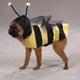 Dog Costume Bee Xsmall