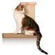 Cat Sky Cliimber Sturdy Wall-mounted Platform