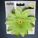 Fluval Chi Lily Flower Aquarium Plant
