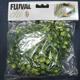 Fluval Chi Vine Aquarium Plant
