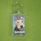 Plastic Keyring Airedale