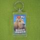Plastic Keyring Blood Hound