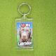 Plastic Keyring Chocolate Labrador 