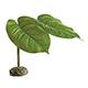 Exo Terra Scindapsus Tree Frog Terrarium Plant