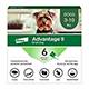Bayer Advantage II Dog 1-10 6pk