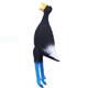 Squawkie Talkie Terry the Terrified Toucan Latex Dog Toy