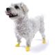 Pawz Natural Rubber Dog Boot XXsmall 12pk
