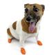 Pawz Natural Rubber Dog Boot Extra Small 12pk