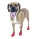 Pawz Natural Rubber Dog Boot Small 12pk