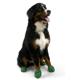 Pawz Natural Rubber Dog Boot Extra Large 12pk